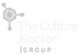 The Culture Factor Group